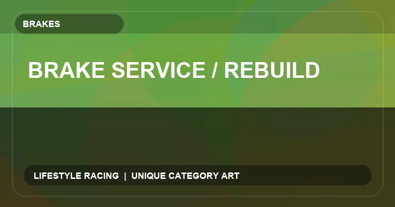 Brake Service / Rebuild